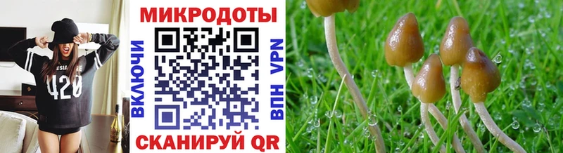 Купить закладки  Высоцк  Псилоцибиновые грибы ЛСД 
